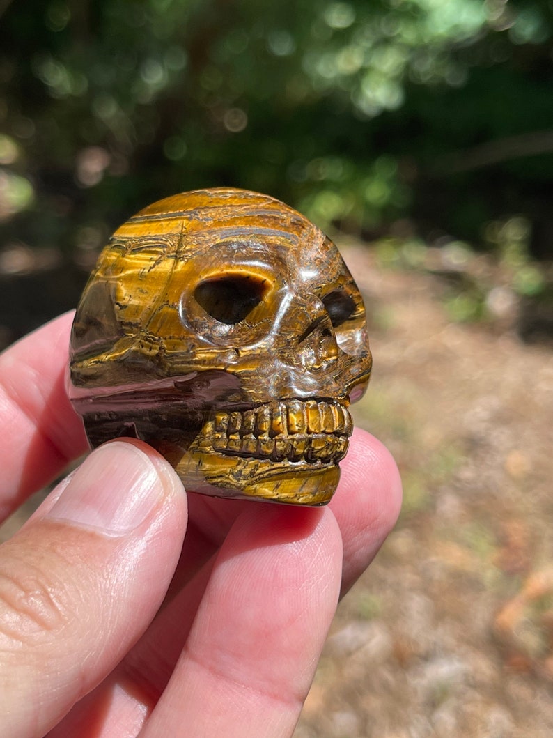 Tigers Eye carved skull Bild 7