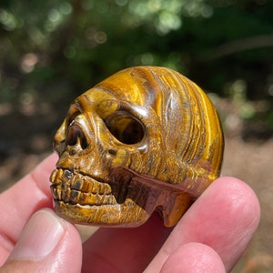 Tigers Eye carved skull Bild 9