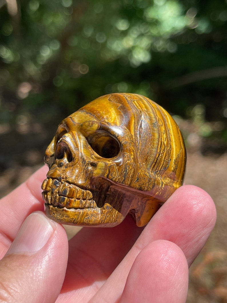 Tigers Eye carved skull Bild 9