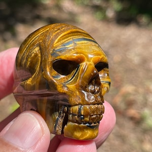 Tigers Eye carved skull Bild 1