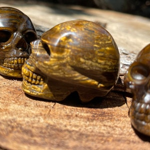 Tigers Eye carved skull Bild 4