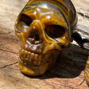 Tigers Eye carved skull Bild 2