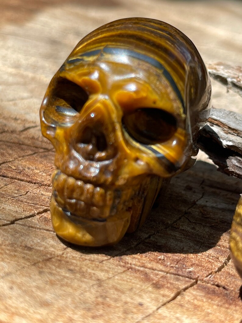 Tigers Eye carved skull Bild 2