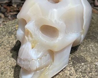 May include: White agate skull sculpture with detailed carving of the facial features, including the teeth and eye sockets. The skull is polished and has a translucent appearance.