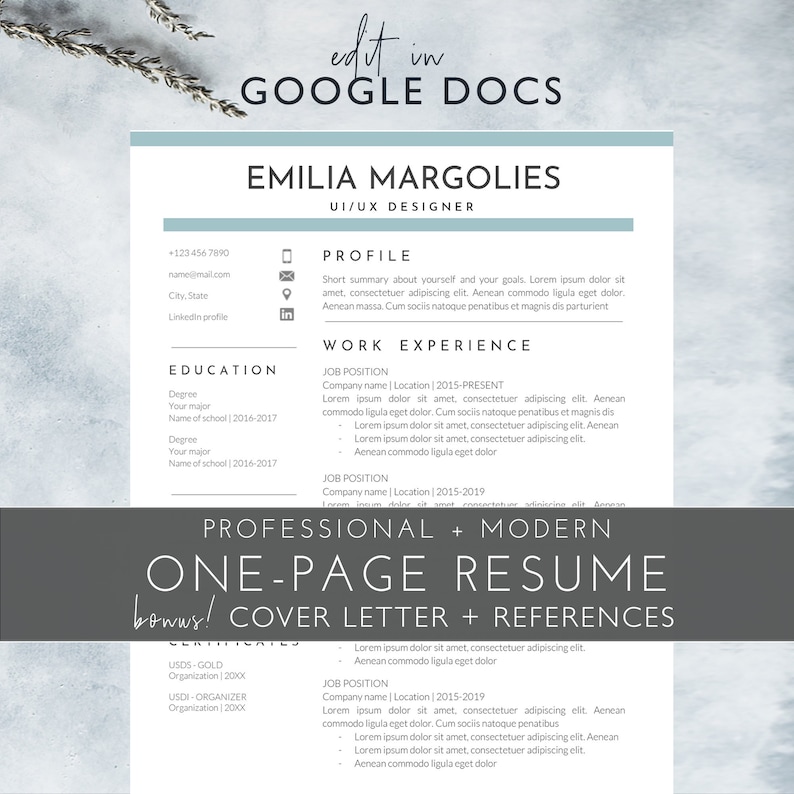One page Google Docs Resume Template Google Docs Resume Template