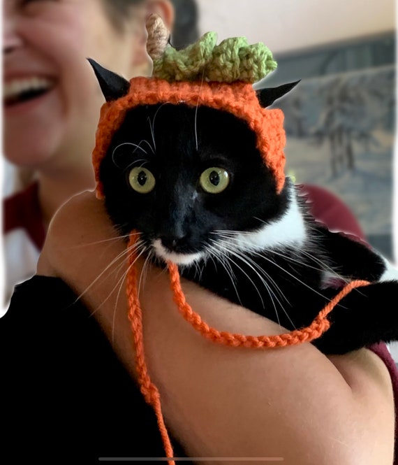 Adorable crocheted fruit cat hats Etsy