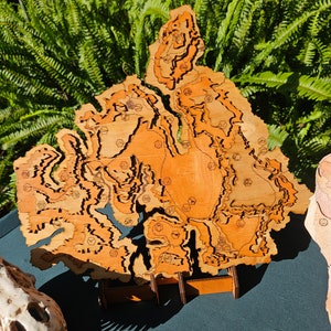 Jurassic Park The Lost World Topographische Karte und Ständer - Holz geschnitzt - Isla Sorna