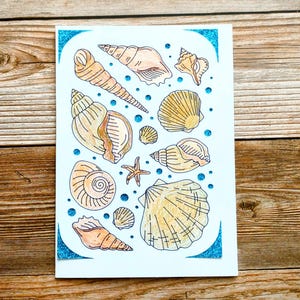 Tarjeta en blanco con conchas marinas