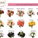 see more listings in the Roses & Peonies section