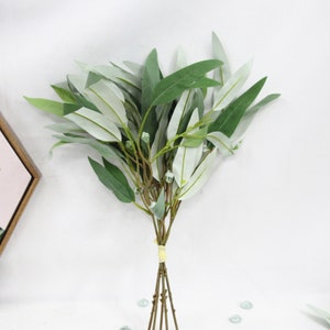 5 stems of Willow Seeded Eucalyptus Bundle