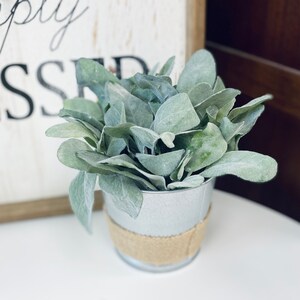 Può includere: Una piccola pianta in vaso con foglie verde argento in un vaso di metallo argentato con un nastro di juta marrone attorno alla parte superiore. Il vaso è su una superficie bianca. Il cartello dietro la pianta dice "Simply Blessed".