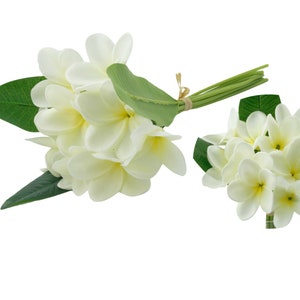 Pack of 10 flowers 3 leaves -Natural White Real Touch Frangipani bouquet leaves -DIY wreath bouquet centerpiece