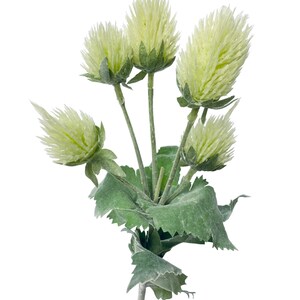 Puede incluir: Un ramo de cinco flores de cardo artificiales con hojas verdes. Las flores son de color amarillo p&aacute;lido y tienen una textura peluda.