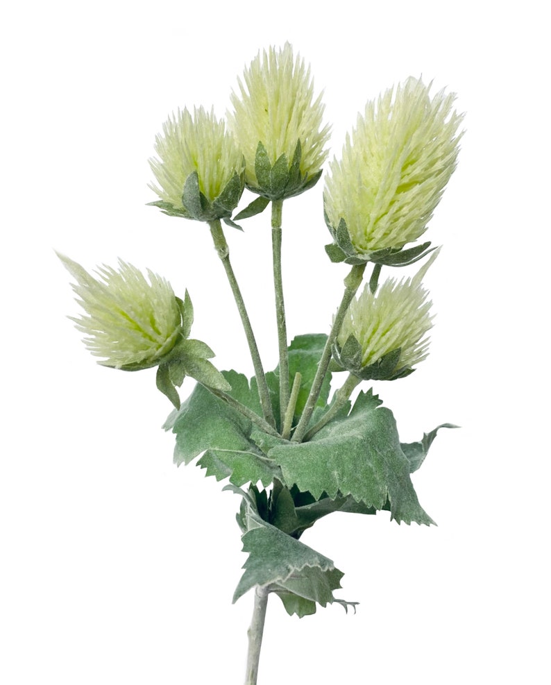 Puede incluir: Un ramo de cinco flores de cardo artificiales con hojas verdes. Las flores son de color amarillo p&aacute;lido y tienen una textura peluda.