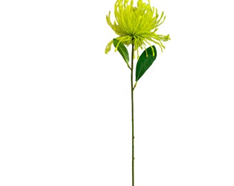 Pack of 6- Artificial Needle Spider Mum Green