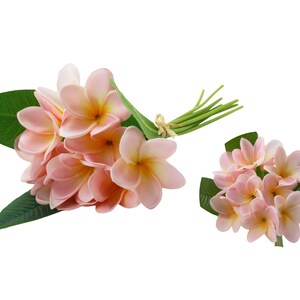 May include: A bouquet of pink artificial plumeria flowers with green leaves. The flowers are arranged in a cluster and have a delicate, tropical appearance.