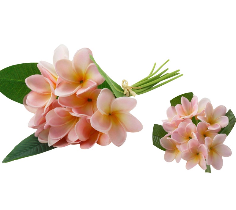 May include: A bouquet of pink artificial plumeria flowers with green leaves. The flowers are arranged in a cluster and have a delicate, tropical appearance.