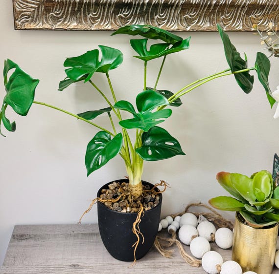 50 cm Kunstpflanze Monstera im Topf: Tropisches Wohndekor - Etsy.de