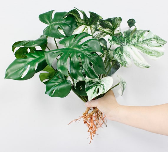 15" Artificial Monstera Plant Foliage With Roots- 8 Leaves Bendable Stems -  Ready to Decor - Etsy