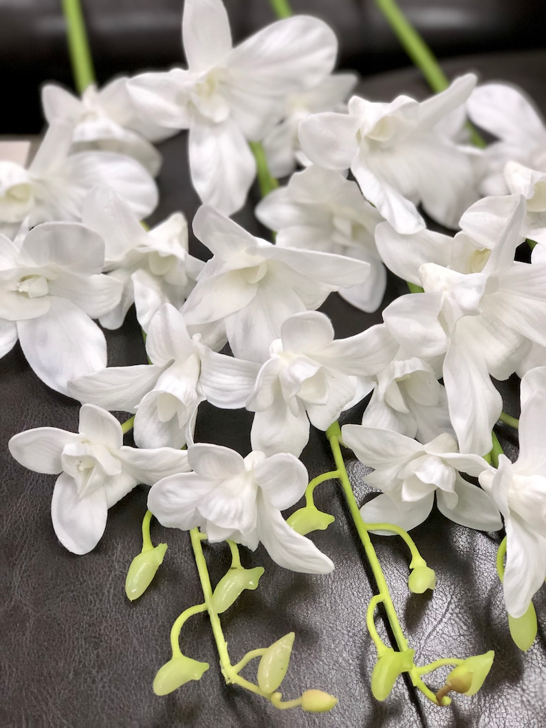 May include: A bunch of white silk orchid flowers with green stems. The flowers are arranged in a cluster and have a delicate, elegant appearance.