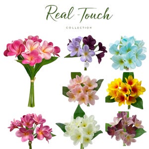Packung mit 10 Blumen-ultra-realistische Real Touch künstliche Plumeria-8 Farben erhältlich