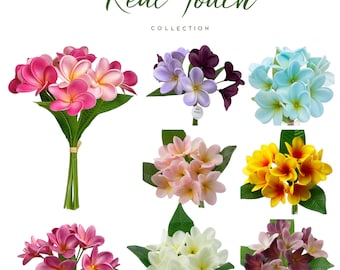 Pack of 10 Flowers-ultra-realistic Real Touch artificial Plumeria-8 Colors available