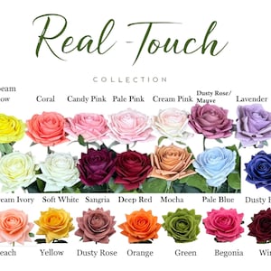 Könnte beinhalten: Eine Sammlung künstlicher Rosen in verschiedenen Farben, darunter Gelb, Koralle, Rosa, Creme, Mauve und Lavendel. Das Bild zeigt die "Real Touch"-Kollektion, wobei jede Rose mit ihrem Farbnamen beschriftet ist. Die Rosen sind auf weißem Hintergrund angeordnet.