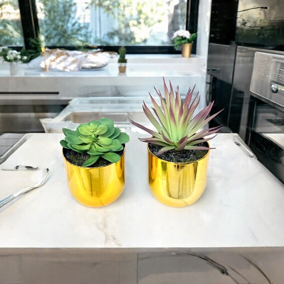 Pianta artificiale Yucca Aloifolia per decorazioni di interni