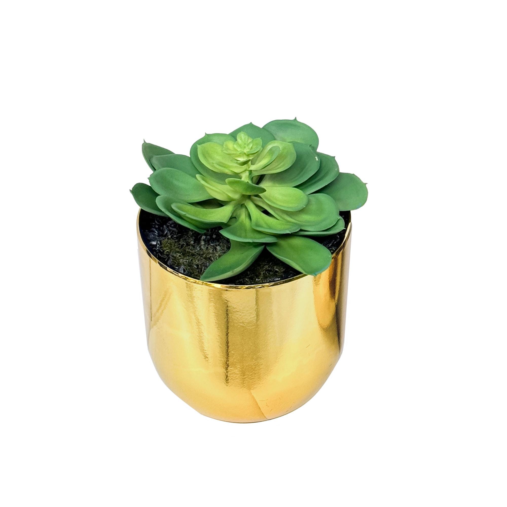 PIANTE GRASSE ARTIFICIALI Piccole Verdi Realistiche Vaso Con Vasi Mini