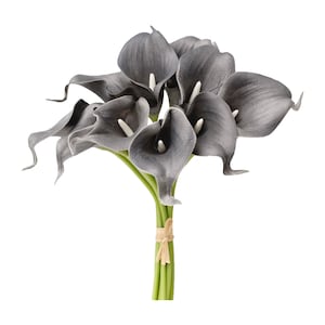 May include: A bouquet of six gray calla lilies with green stems tied together with a brown ribbon.
