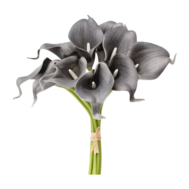 May include: A bouquet of six gray calla lilies with green stems tied together with a brown ribbon.