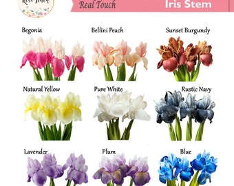 18inch long Real Touch Bearded Iris Stem Home office Decor long lasting lifelike quality