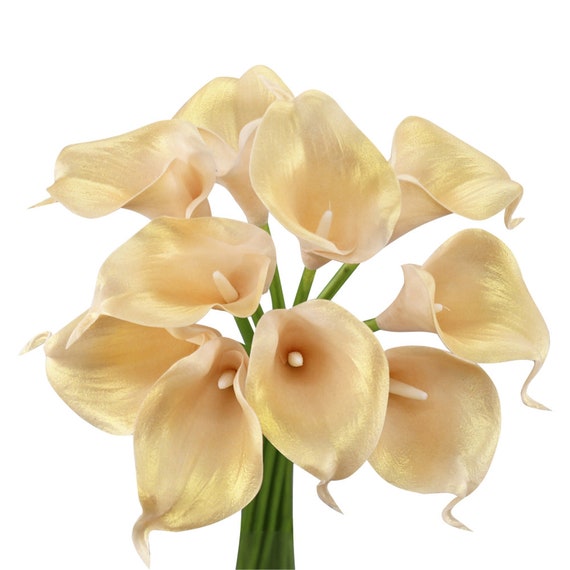 USA 1-DAY PROCESSING 10pc Real Touch calla lily Perfect small bloom for making boutonniere corsage bouquet centerpieces wreath