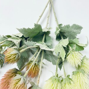 Puede incluir: Un ramo de flores artificiales con hojas verdes y cabezas de flores marrones y blancas. Las flores tienen una textura peluda.