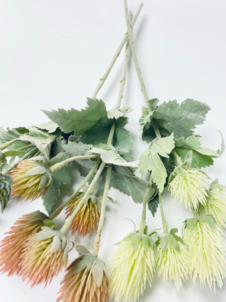 Puede incluir: Un ramo de flores artificiales con hojas verdes y cabezas de flores marrones y blancas. Las flores tienen una textura peluda.