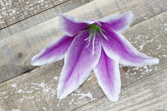 Large 6inch Bloom Artificial Polyester Lily-lilac White - Etsy