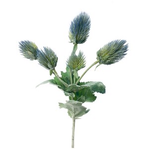 Puede incluir: Un ramo de flores de cardo azul y verde sobre un fondo blanco.
