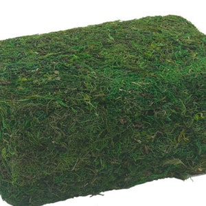 LARGE bag of Preserved Green Moss