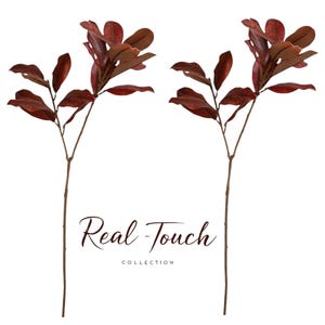 Puede incluir: Dos tallos artificiales con hojas de color rojo oscuro y tallos marrones. El texto "Real Touch Collection" está escrito en cursiva debajo de los tallos.