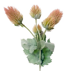 Puede incluir: Un ramo de flores artificiales en tonos marrones y verdes. Las flores tienen una textura peluda y est&aacute;n dispuestas en un tallo con hojas verdes.