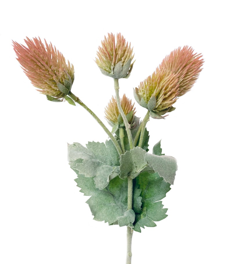 Puede incluir: Un ramo de flores artificiales en tonos marrones y verdes. Las flores tienen una textura peluda y est&aacute;n dispuestas en un tallo con hojas verdes.