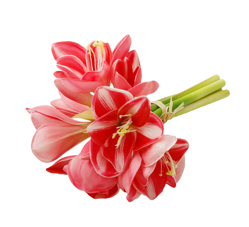 Premium Real Touch Artificial Amaryllis Bouquet 8 Blooms and Etsy