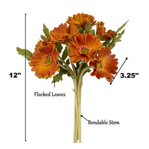 May include: A bouquet of 7 orange gerbera daisies with flocked leaves and bendable stems. The bouquet measures 12 inches tall and each flower head is 3.25 inches wide.