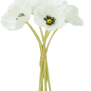May include: A bouquet of five white silk poppy flowers with green stems tied together with a brown ribbon.