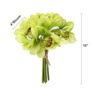 Lot de 6 tiges, fausses orchidées cymbidium au toucher réel