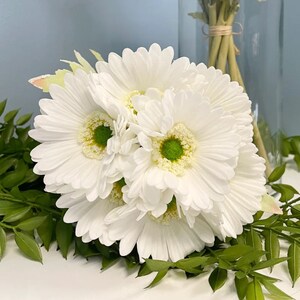 May include: A bouquet of white gerbera daisies with green centres. The flowers are arranged in a cluster and are surrounded by green leaves.