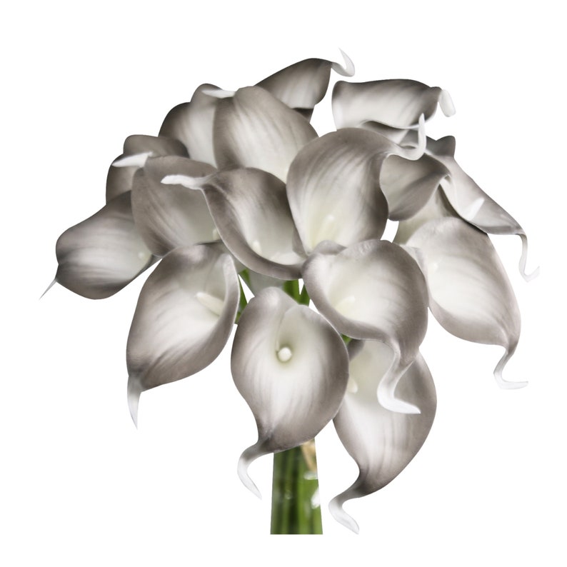 May include: A bouquet of gray and white calla lilies. The flowers are arranged in a cluster, with the stems visible at the bottom.