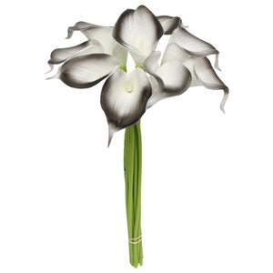 May include: A bouquet of six artificial white calla lilies with black tips. The stems are green and bundled together.
