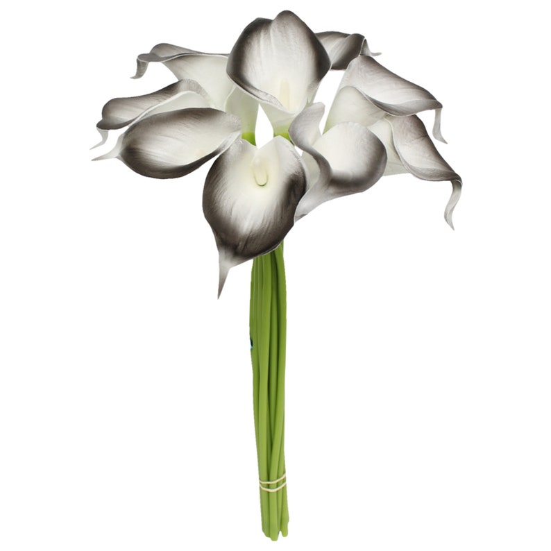 May include: A bouquet of six artificial white calla lilies with black tips. The stems are green and bundled together.