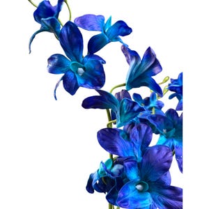 May include: A cluster of blue and teal orchids with green stems. The orchids are arranged in a cascading pattern, with the blooms facing outward.